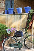 Basket of flowers on lady's bicycle below blue plant pots on wall