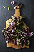 Fresh basil bunches on wooden serving board over dark background