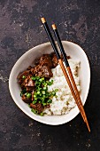 Slow cooked Beef with Rice and green onions in bowl