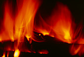 Domestic wood-burning fire in grate