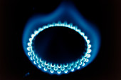 Blue flames of a propane burner