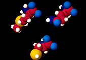 Three different amino acid molecules