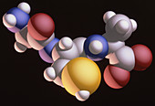 Tripeptide molecule