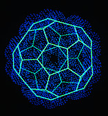 Buckminsterfullerene molecule