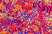 Zinc oxide crystals,light micrograph