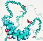 Computer artwork of polyethylene polymer