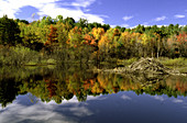 Beaver Pond with fall foliage
