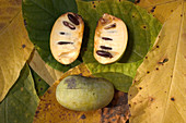 Pawpaw Fruit