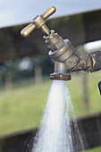 Outdoor Water tap
