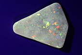 Precious Graybase Opal