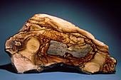 Picture Jasper