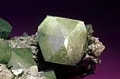 'Apophyllite from Paterson,New Jersey'