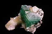 'Apophyllite from Panuel,India'