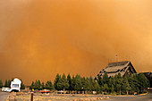 'Fire at Yellowstone National Park,1988'