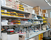 'Laboratory,National Cancer Institute'