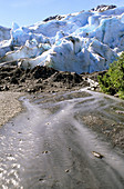 'Toe of Exit Glacier,Alaska'