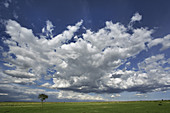 Clouds Over Grassy Plains