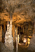 'Blanchard Springs Caverns,Arkansas'