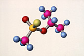 Sarin Nerve Gas Molecule
