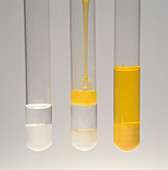 Lead (II) Chloride and Potassium Chromate