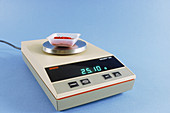 Electronic Scale