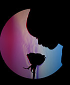 Schlieren Image of a Boy Smelling a Rose