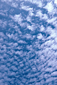 Autocumulus Floccus Clouds