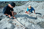 Paleontologists
