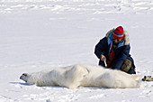 Polar Bear Research