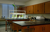 Biology Classroom