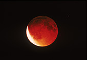 Lunar Eclipse