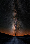 Milky Way Observer