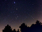 Persied Meteor 2007