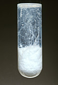 'Silver Nitrate + Calcium Chloride,5 of