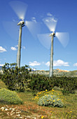 Wind Generators