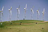 Wind Generators