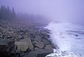 'Acadia National Park,Maine'