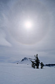 'Solar Halo,Sierra Nevada'