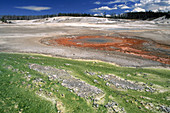 'Norris Geyser Basin,Yellowstone NP'