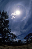 'Solar Halo,Kenya'