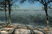 Arctic Sea Smoke