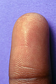 Fingertip of Black Man
