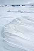 Pack Ice,Antarctica