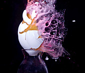 Paintball Hitting an Egg