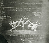 Thomas Eakins's History of a Jump