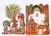 Medieval Arabic Pharmacists