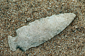 Chipped Projectile Point