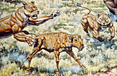 Pleistocene Mammals