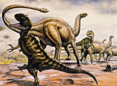 Yangchuanosaurus and Shunosaurus