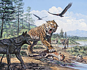 Dire Wolf and Smilodon